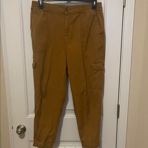 Wonderly Women Tanish Brown Cargo Pants 1x